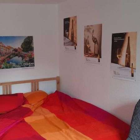 Gite De Benedicte Ancienne Douane 科尔马 外观 照片