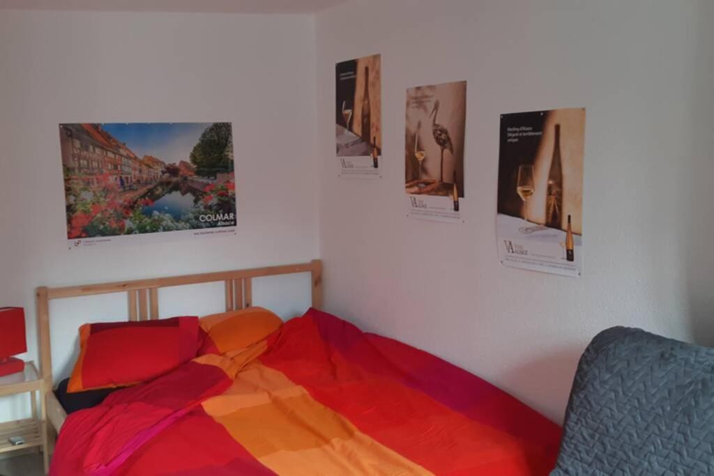 Gite De Benedicte Ancienne Douane 科尔马 外观 照片